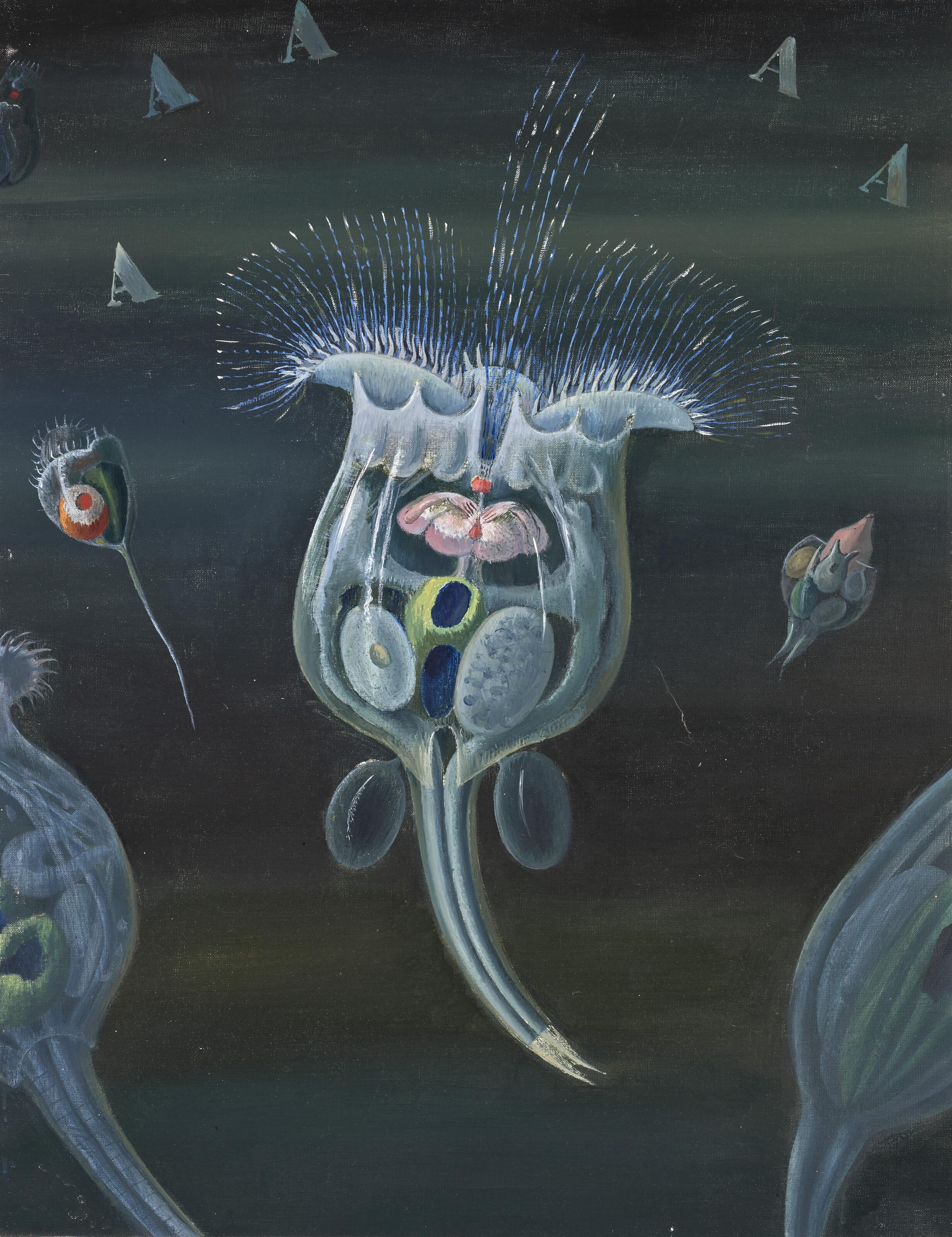 Jane Graverol - Fleurs