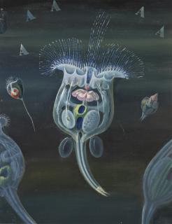 Jane Graverol - Fleurs