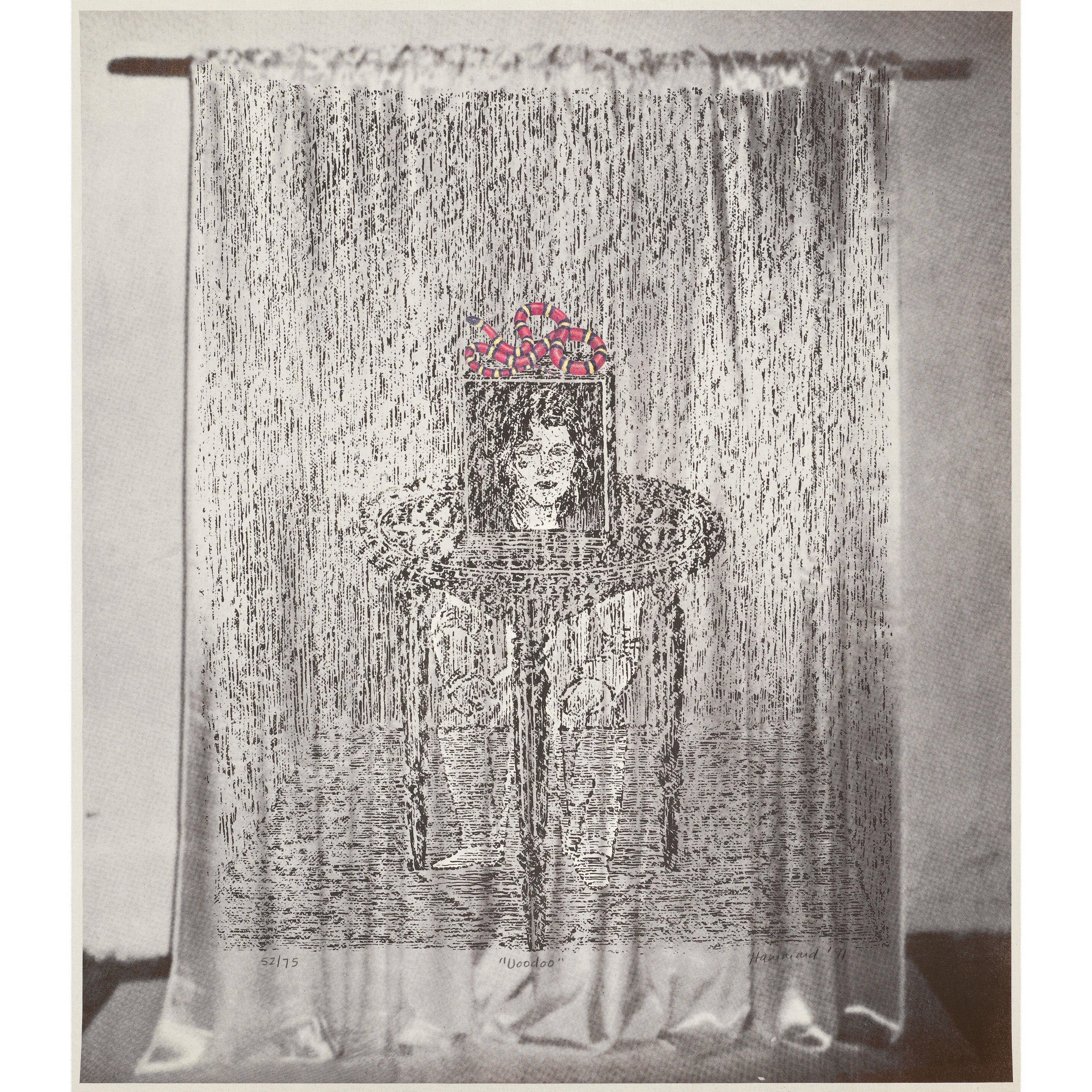 Jane Hammond - Voodoo