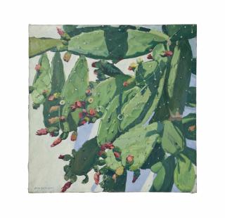 Jane Peterson - Cactus flowers