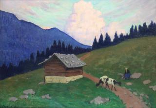 Janet C. Fisher - The Pink Cloud