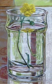 Janet Fish - Buttercup