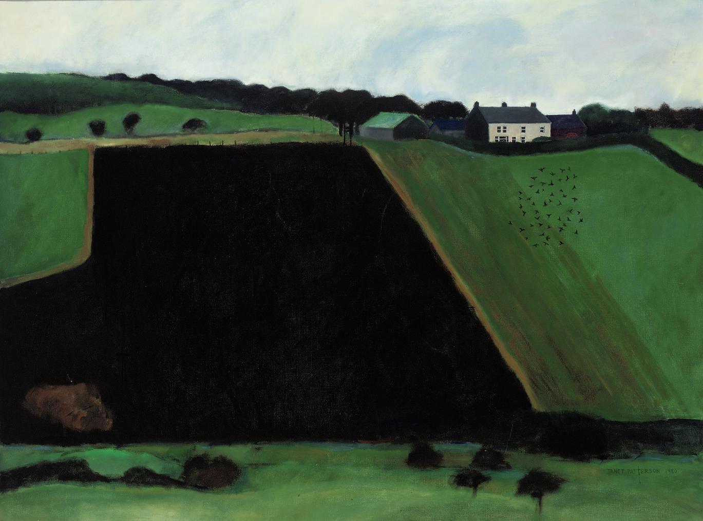 Janet Patterson - Ploughed Field at Hill End