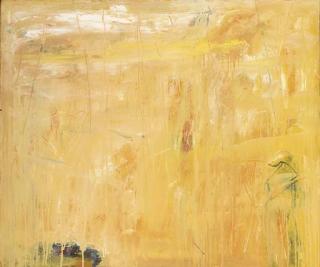 Janet Patterson - West Australian Desert