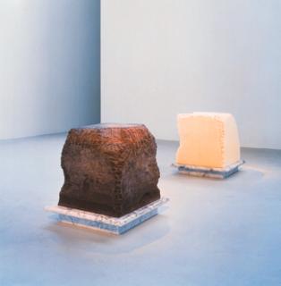 Janine Antoni - Gnaw