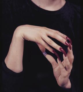 Janine Antoni - Ingrown