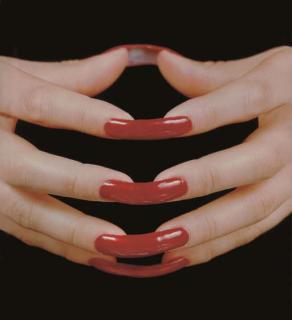 Janine Antoni - Interlace