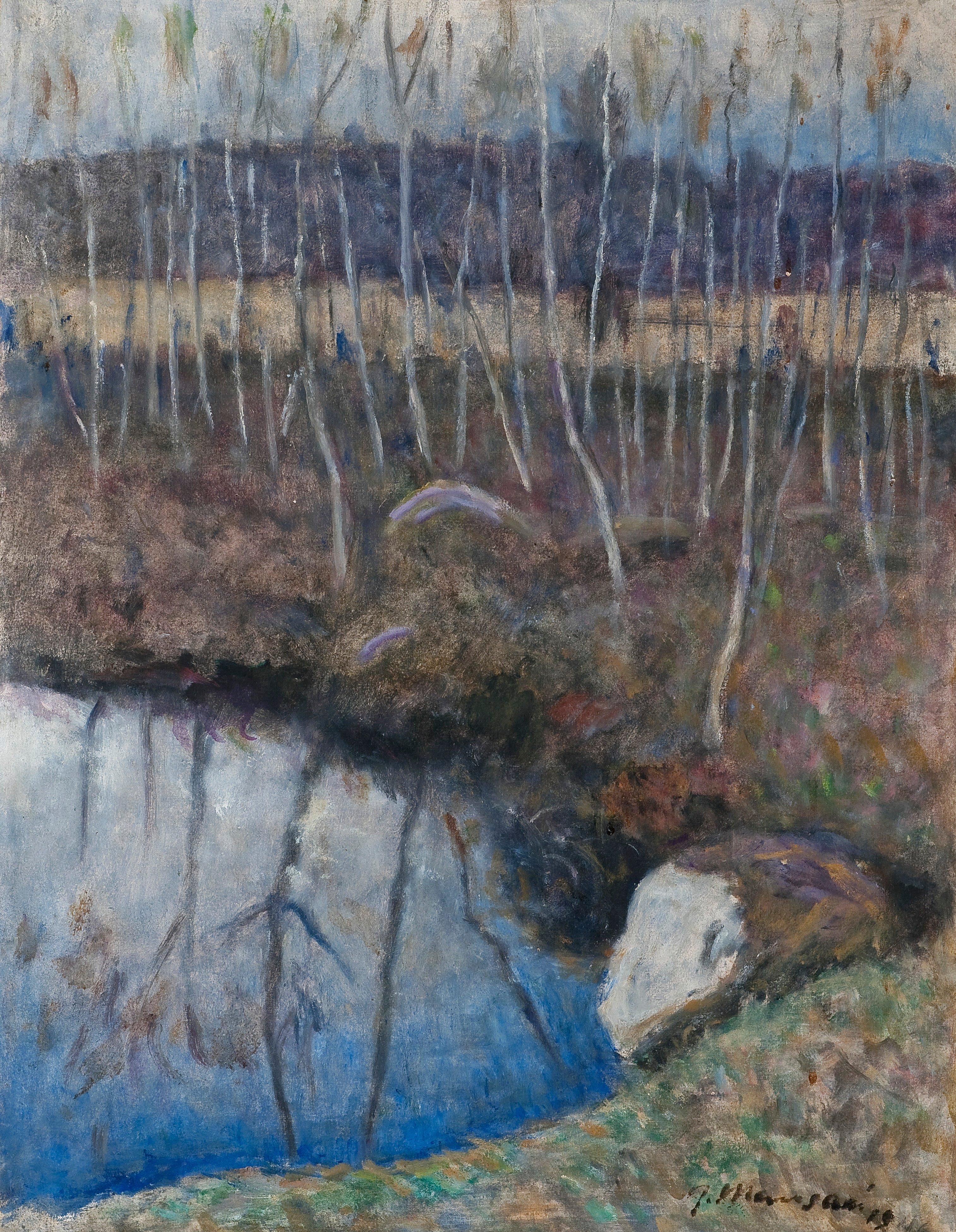 Janne Muusari - Birch Trees