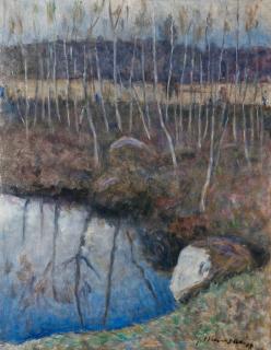 Janne Muusari - Birch Trees