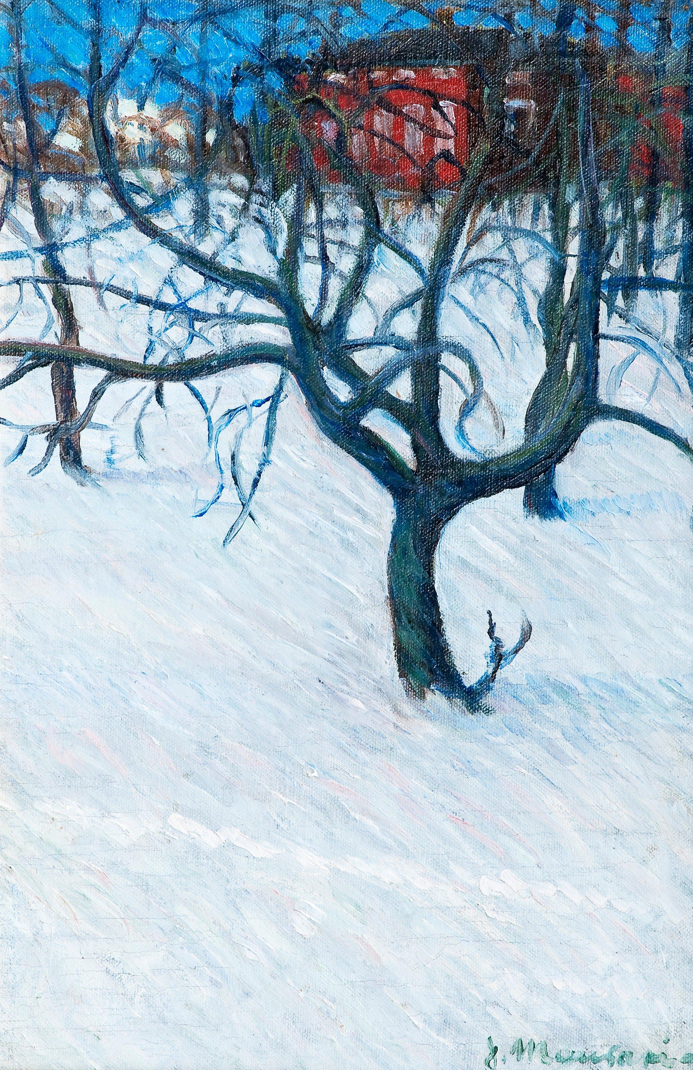 Janne Muusari - Winter Night.