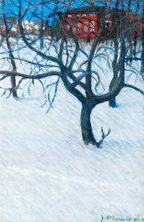 Janne Muusari - Winter Night.