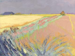 Jannes De Vries - Cornfields