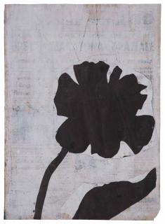 Jannis Kounellis - Il Fiore