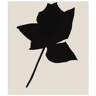 Jannis Kounellis - The Black Rose
