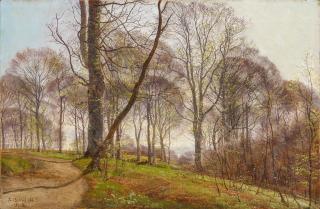 Janus Andreas LaCour - Frühling im Buchenwald