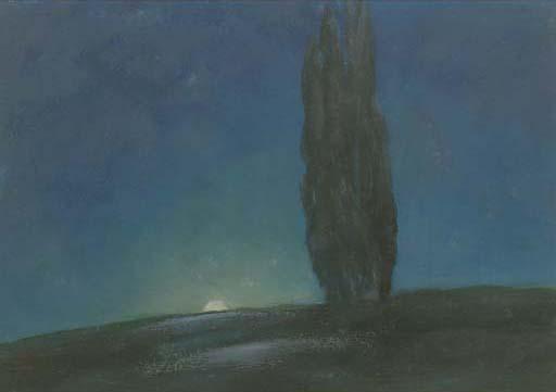 Janus de Winter - A moonlit landscape