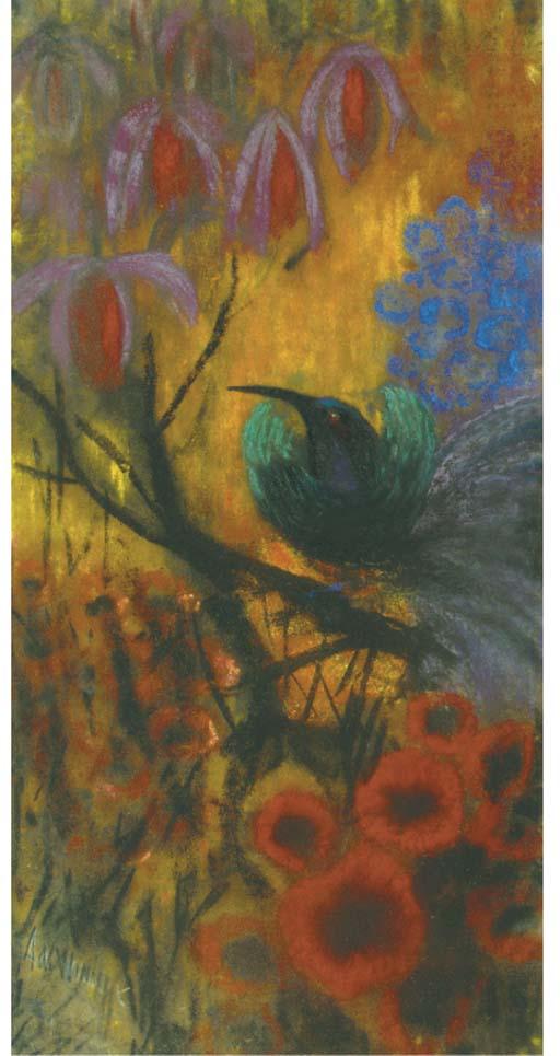 Janus de Winter - Kolibri