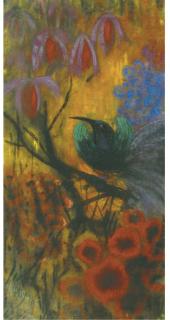 Janus de Winter - Kolibri