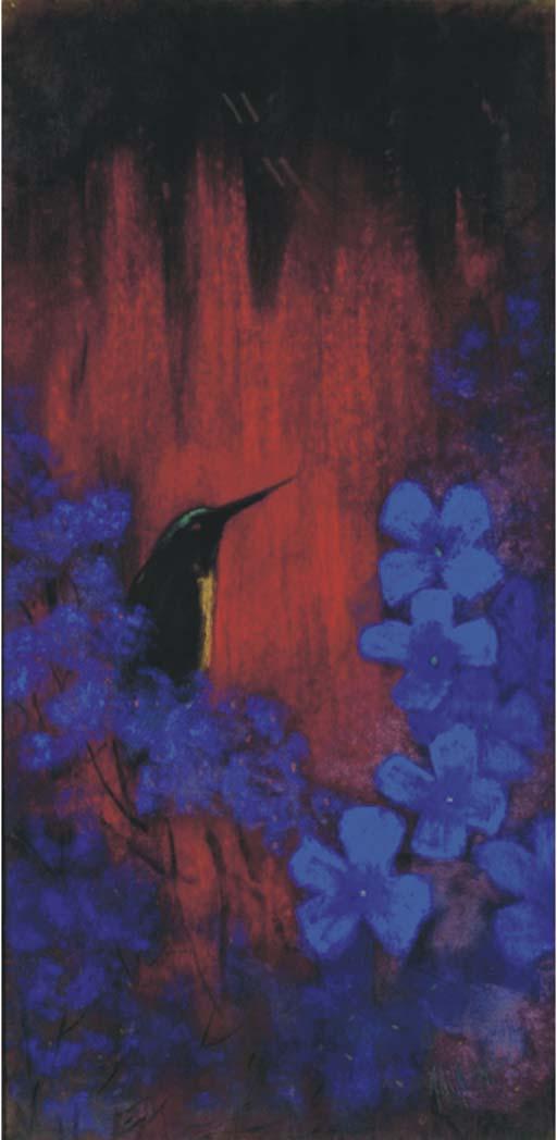 Janus De Winter - Kolibri