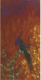 Janus de Winter - Tropical bird