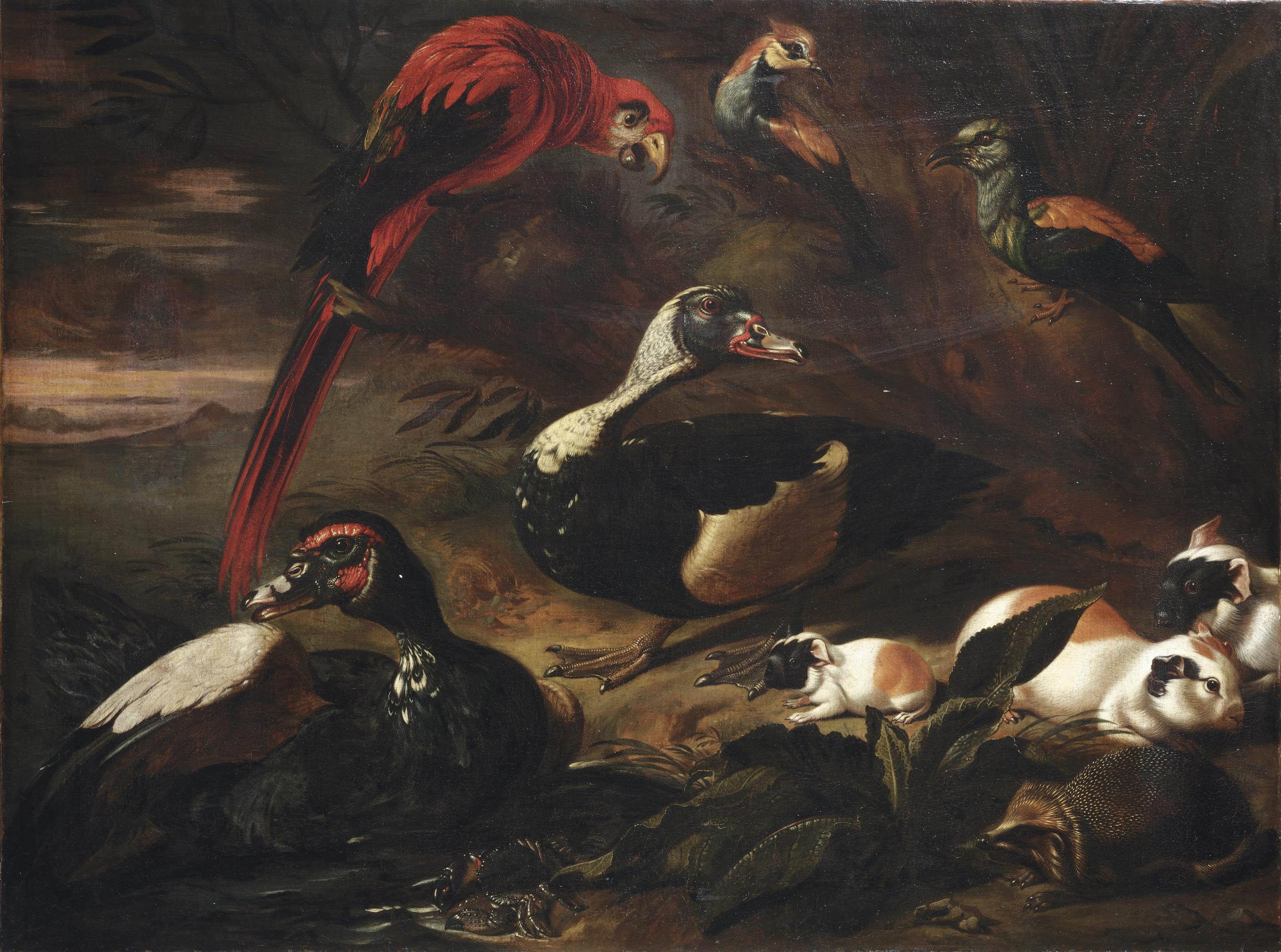 Jaques van de Kerckhove - A landscape with a scarlet macaw, two ducks, a hedgehog, three guinea pigs, a crab and other birds near a stream