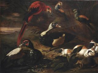 Jaques van de Kerckhove - A landscape with a scarlet macaw, two ducks, a hedgehog, three guinea pigs, a crab and other birds near a stream