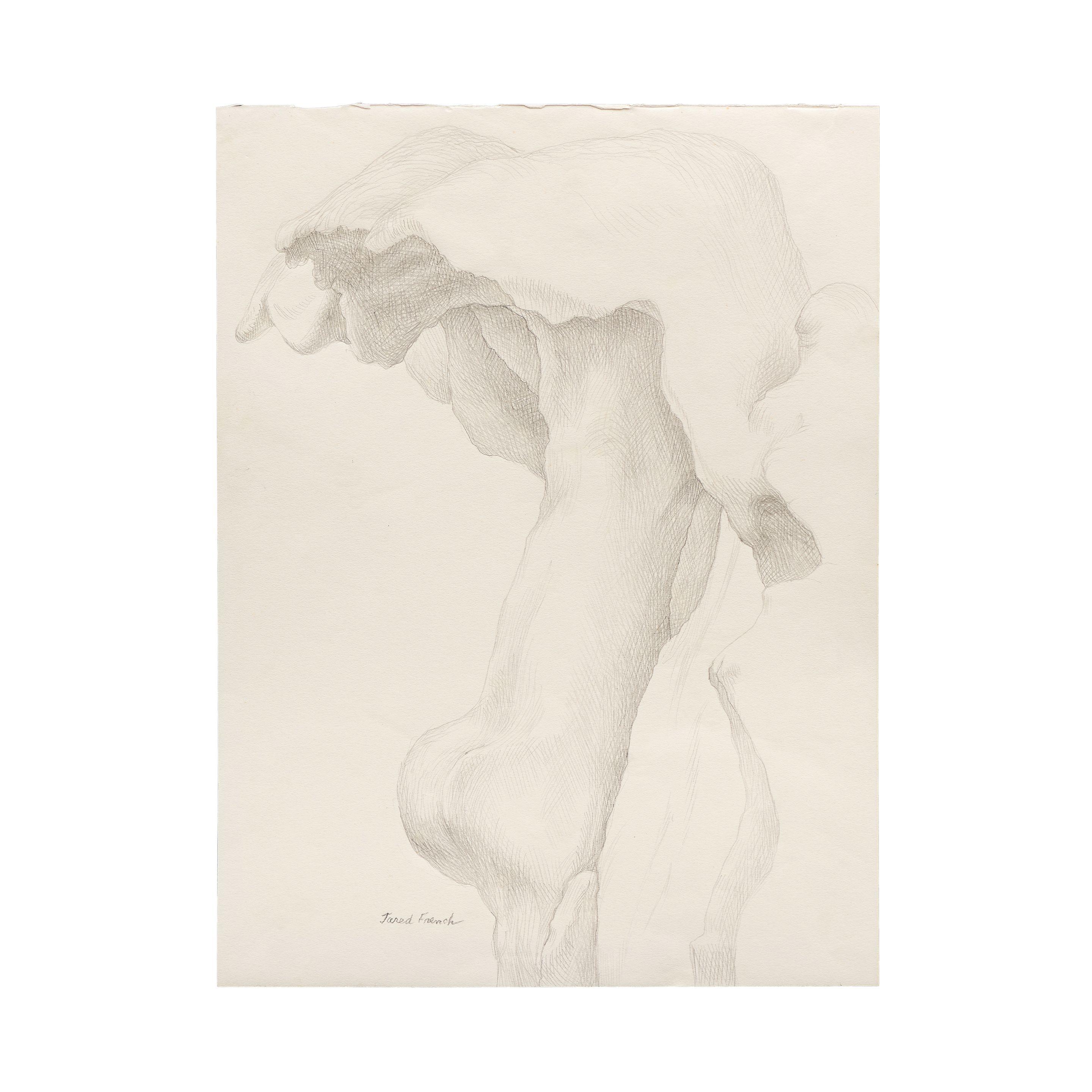 Jared French - Sans titre (Anthropomorphic Landscapes)