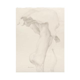 Jared French - Sans titre (Anthropomorphic Landscapes)