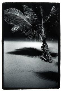 Jari Arffman - Utopia II