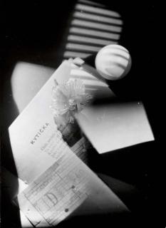 Jaroslav Rössler - A Flower