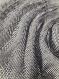 Jaroslava Hatlakova - Sans Titre, 1936