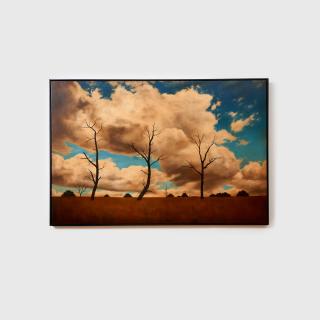 Jason Benjamin - Look in Their Eyes and You\'ll See Me (Ellen), 2003