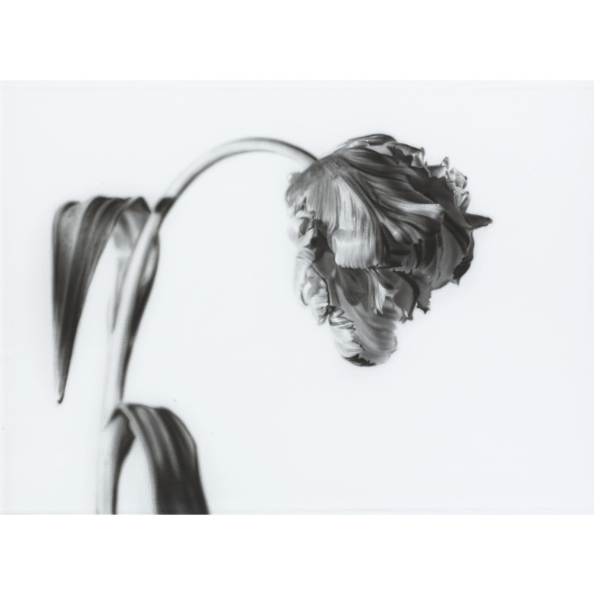 Jason Brooks - Estella Rijnveld (Parrot)