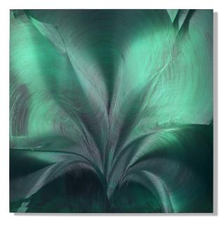 Jason Martin - Mechocana