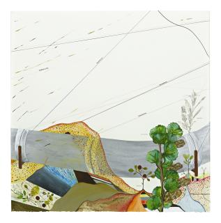 Jason Middlebrook - Apl No. 1 Alaskan Plants, 2003