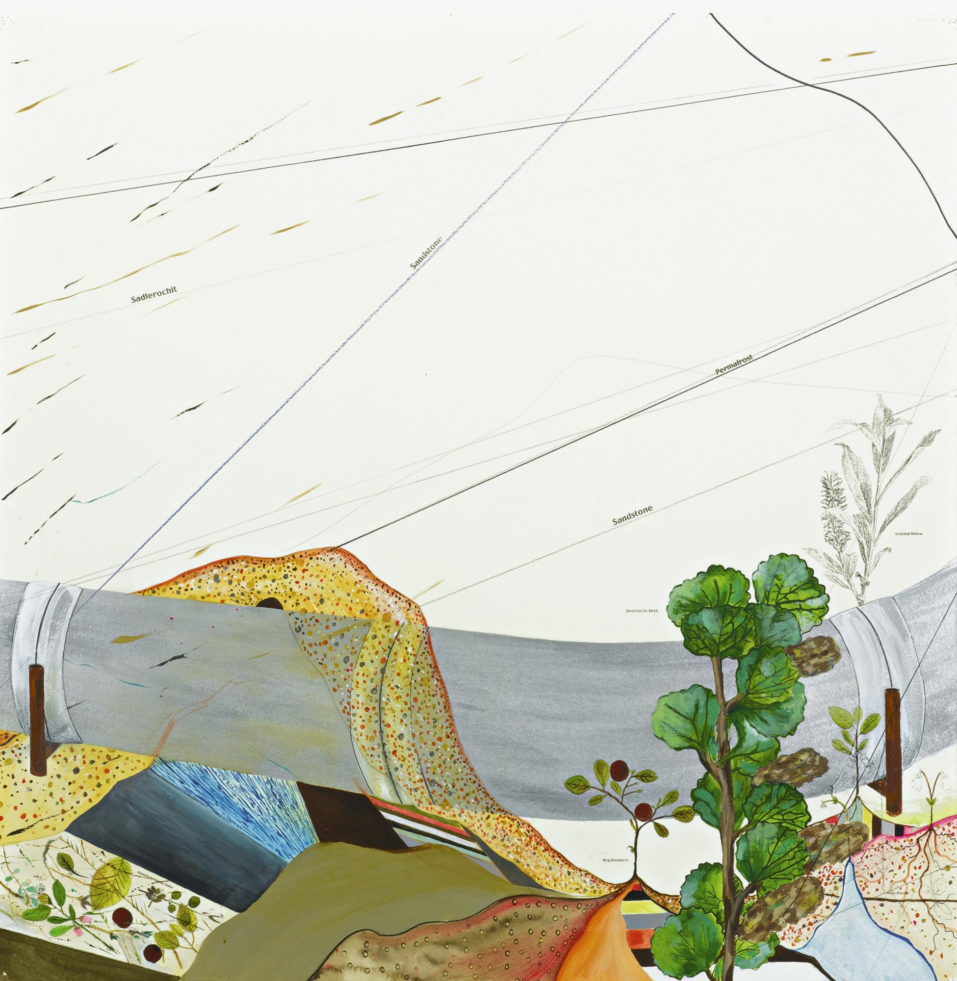 Jason Middlebrook - Apl No. 1 Alaskan Plants