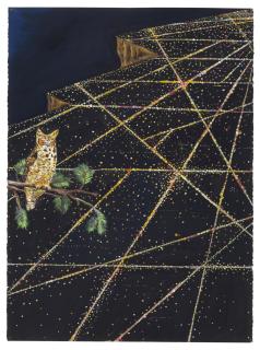 Jason Middlebrook - Widespread, Adaptable; Occurring in Open Areas, Even Cities (The Great Horned Owl)