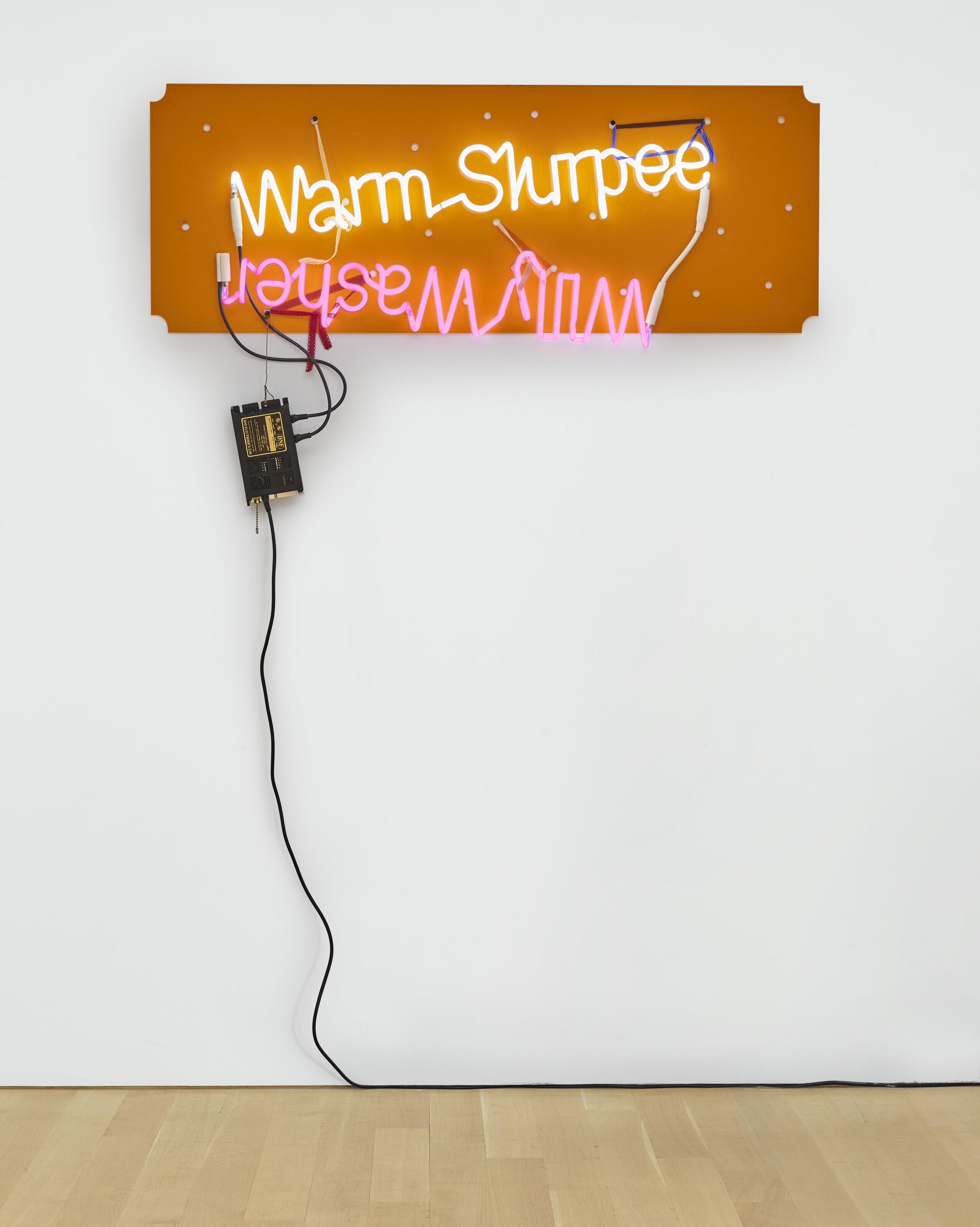 Jason Rhoades - Warm Slurpee; Willy Washer