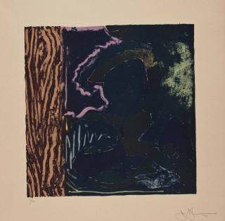 Jasper Johns - After Holbein