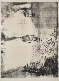 Jasper Johns - Hatteras