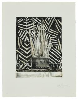 Jasper Johns - Savarin 5 (Corpse and Mirror)