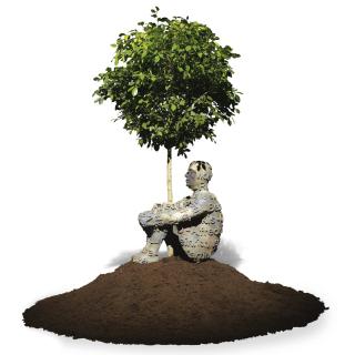 Jaume Plensa - Heart Of Trees