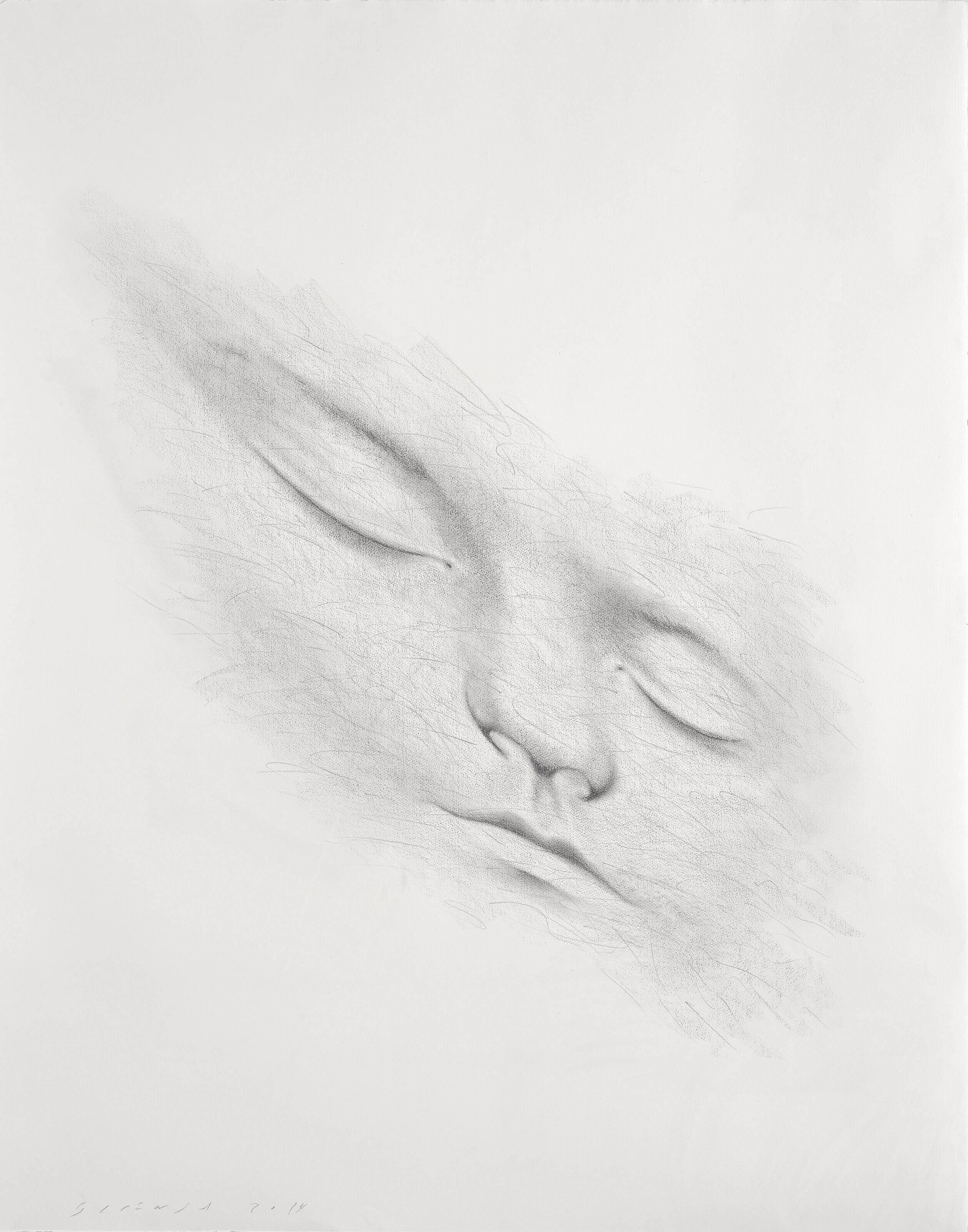 Jaume Plensa - SLUMBERLAND I (Laura)