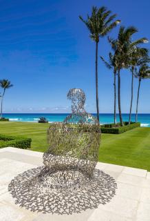 Jaume Plensa - Spillover Ii