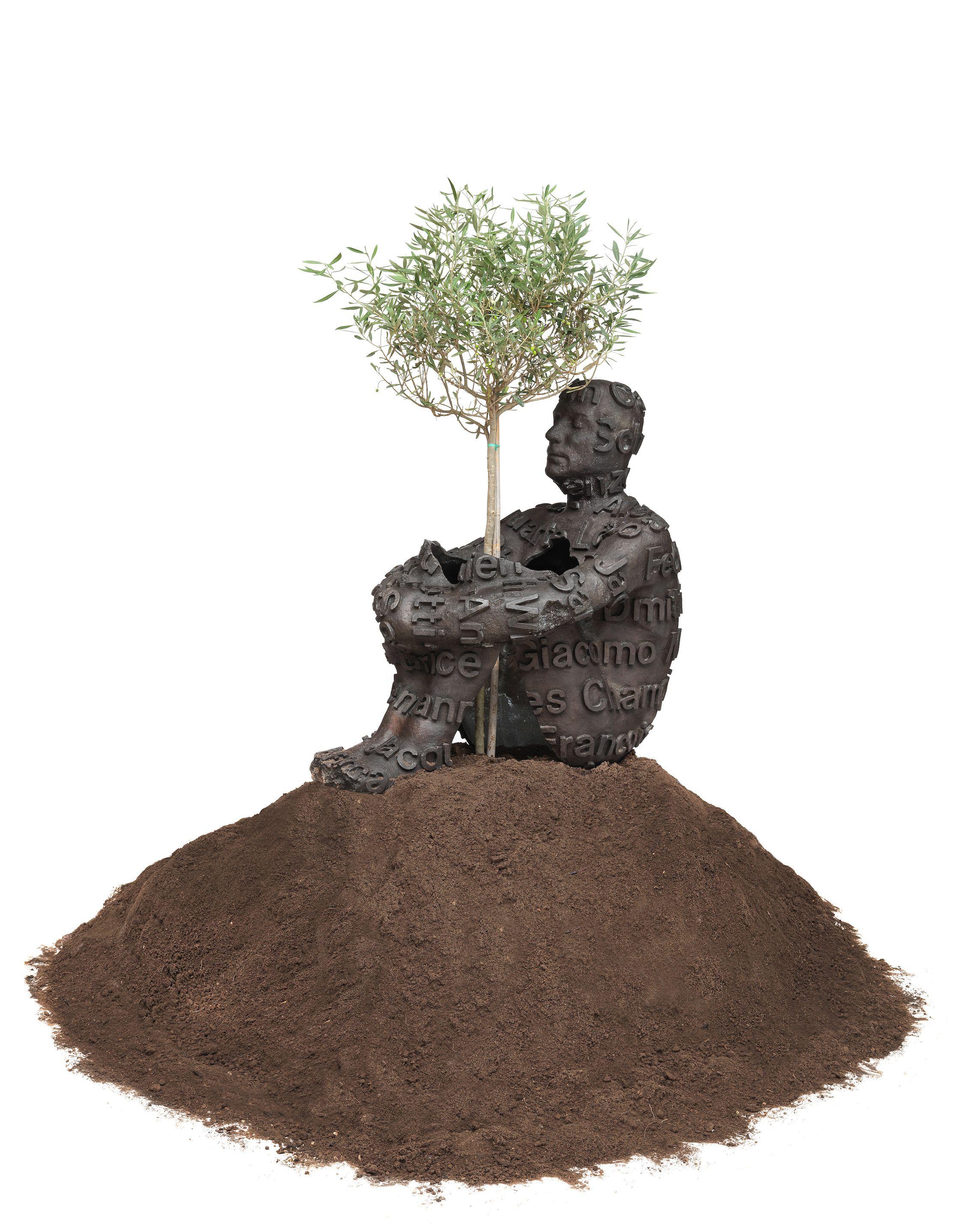 Jaume Plensa - The Heart of Trees II