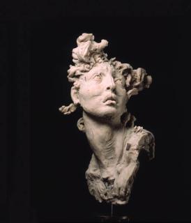 Javier Marín - Mujer blanca