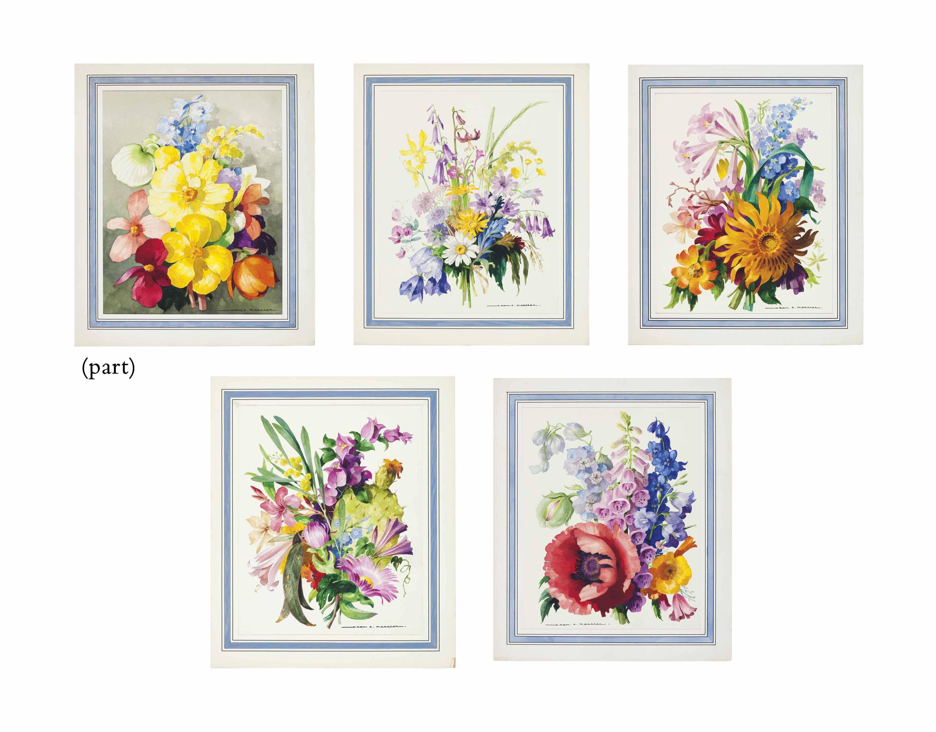 Jean A Mercier - Portfolio of floral studies