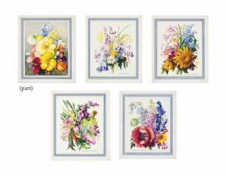 Jean A Mercier - Portfolio of floral studies