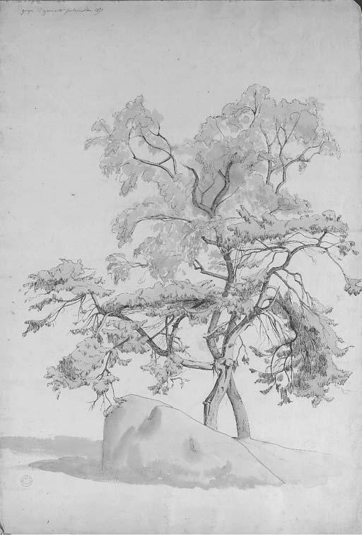 Jean-Achille Benouville - Quatre dessins des Gorges d\'Apremont à Fontainebleau