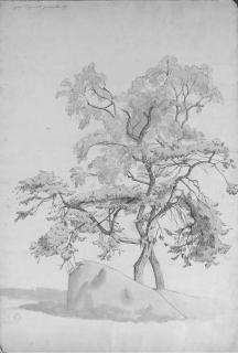 Jean-Achille Benouville - Quatre dessins des Gorges d\'Apremont à Fontainebleau